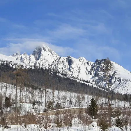 Guest house Podlesanka Vysoke Tatry *