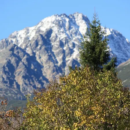 Podlesanka Vysoke Tatry Guest house